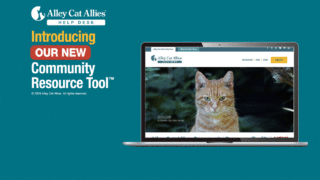  Access the Alley Cat Allies Community Resource Tool™ 